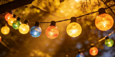 加拿大灯串 CSA C22.2标准